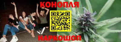 сатива Тверь