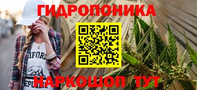 сатива Тверь