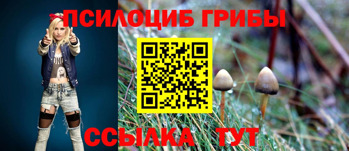 Псилоцибиновые грибы мицелий Нефтеюганск